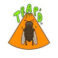 trapdbugs